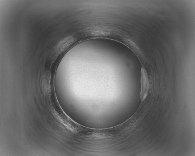 X0000080660490200612221055