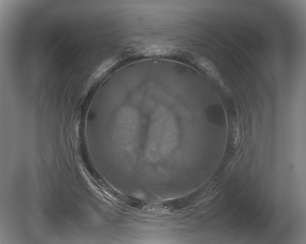 X0000080660491200612221055