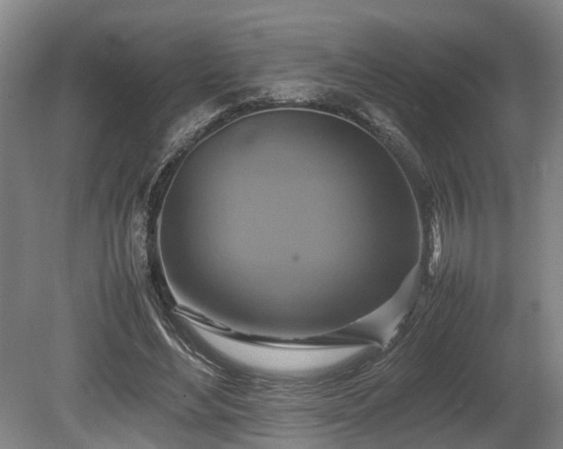 X0000080660492200612221055