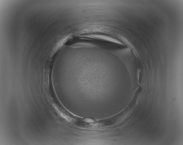 X0000080660493200612221055
