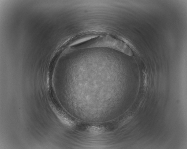 X0000080660494200612221055