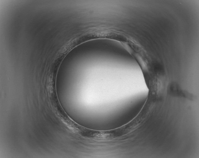X0000080660497200612221054