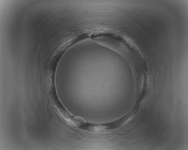 X0000080660501200612221054