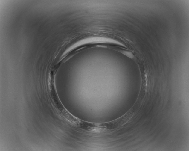 X0000080660504200612221054