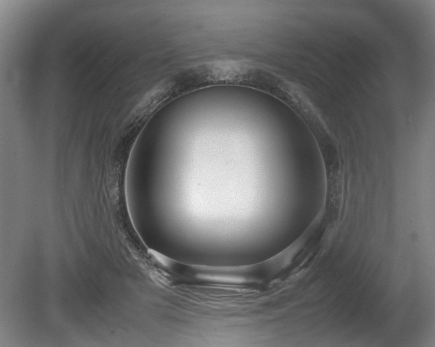 X0000080660505200612221054