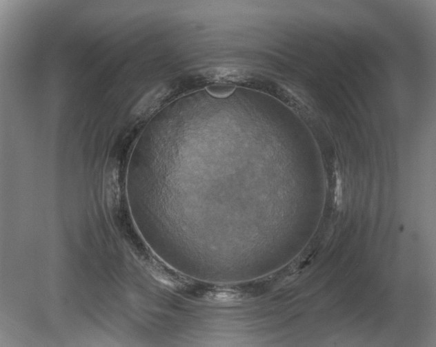 X0000080660506200612221054