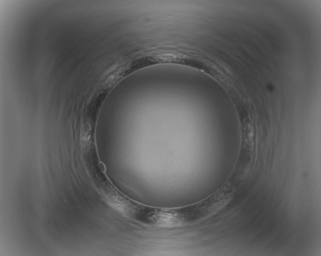 X0000080660507200612221054