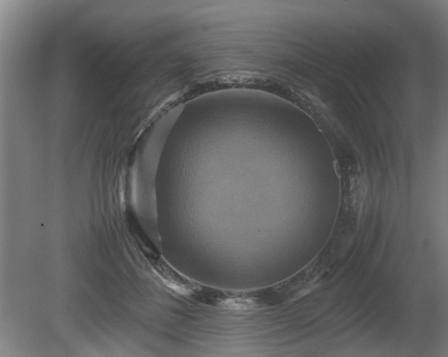 X0000080660508200612221054