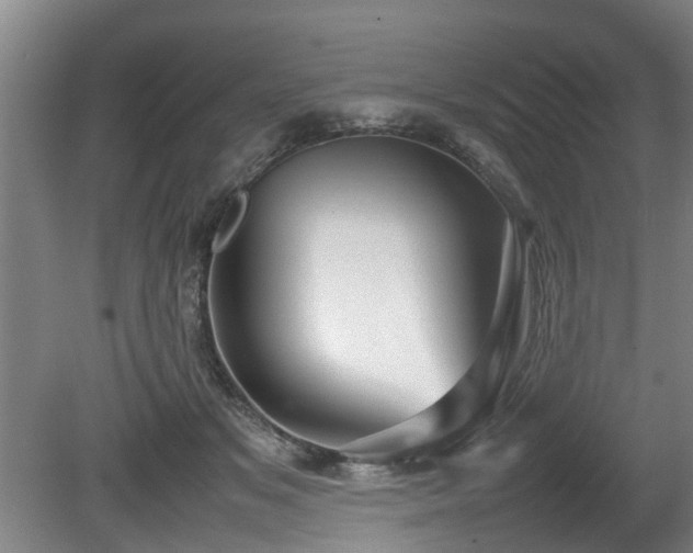 X0000080660509200612221054