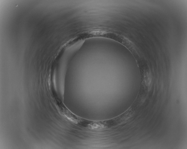X0000080660512200612221054