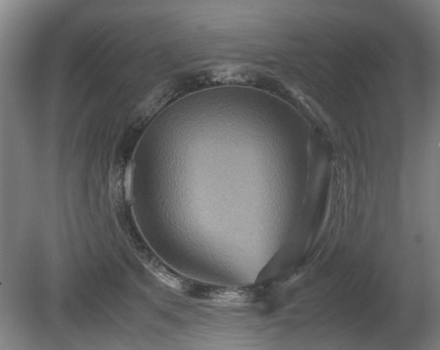 X0000080660513200612221054