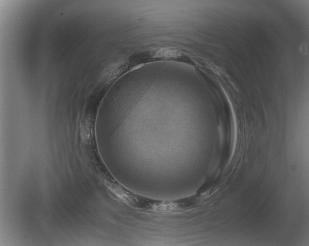 X0000080660517200612221054