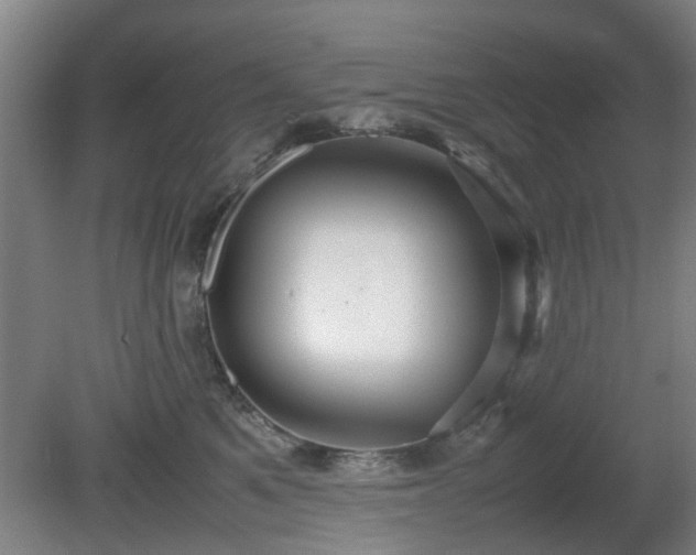 X0000080660521200612221054