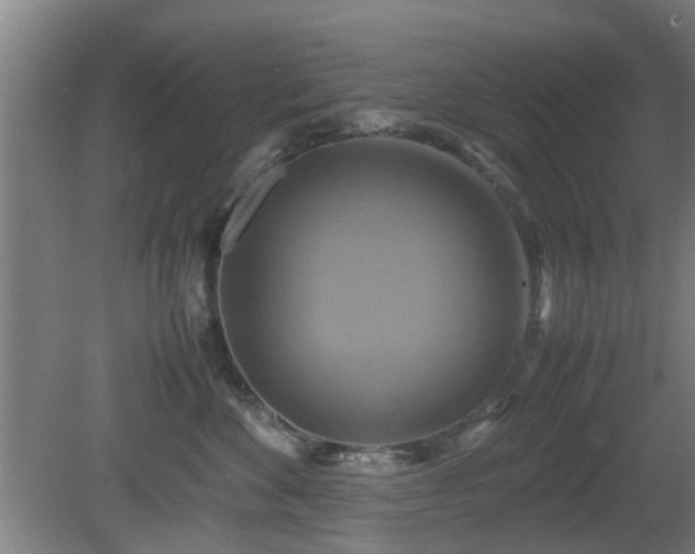 X0000080660524200612221054