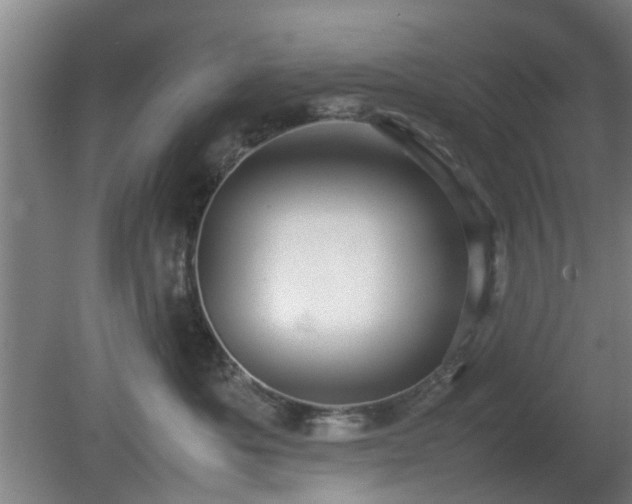 X0000080660525200612221054