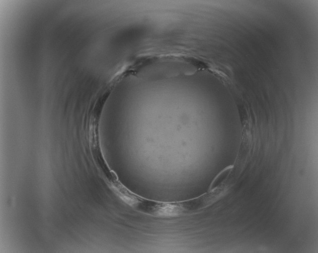 X0000080660527200612221054