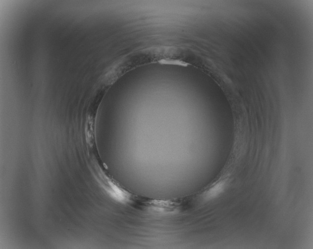 X0000080660528200612221054