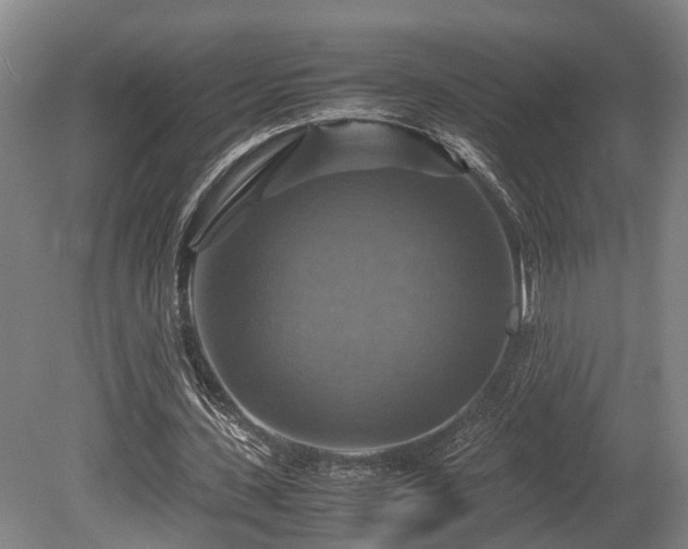 X0000080660531200612221053