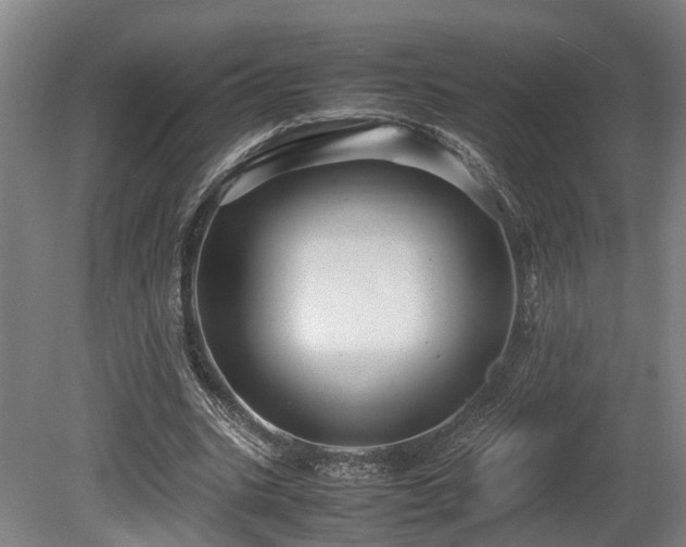 X0000080660535200612221053