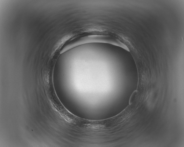 X0000080660539200612221053