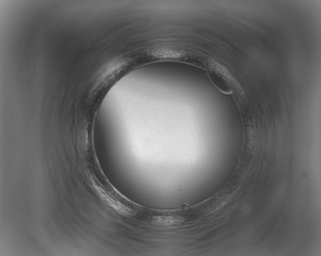 X0000080660541200612221053