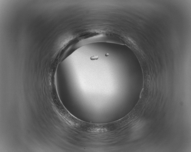 X0000080660543200612221053