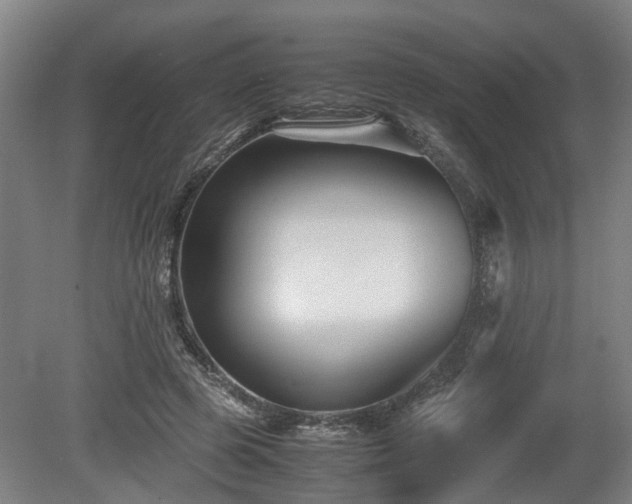 X0000080660545200612221053