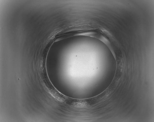 X0000080660548200612221053
