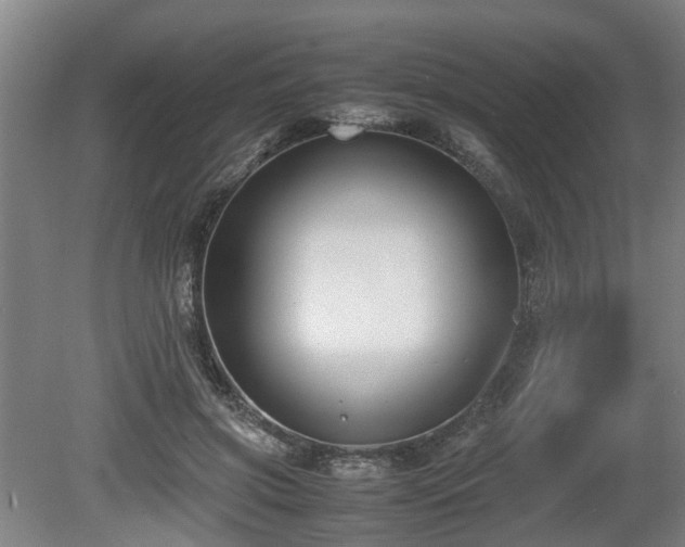 X0000080660549200612221053