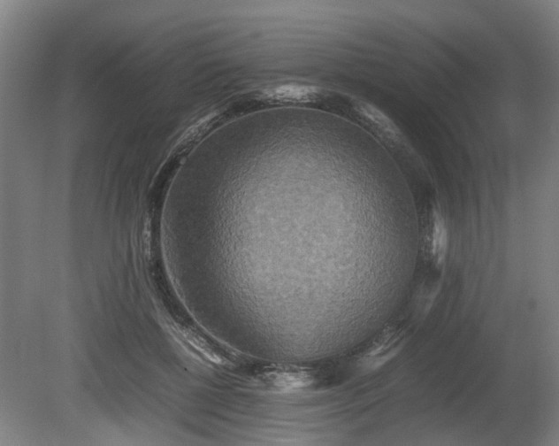 X0000080660552200612221054