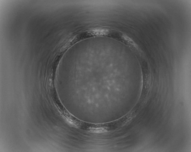 X0000080660553200612221054