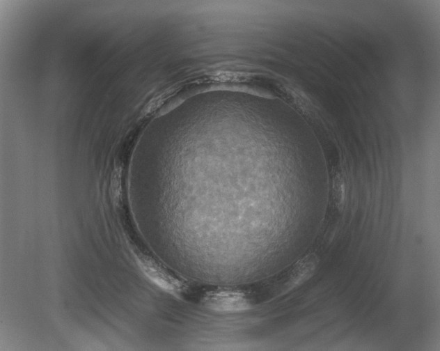 X0000080660554200612221054
