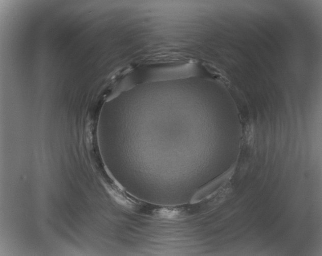 X0000080660570200612221054