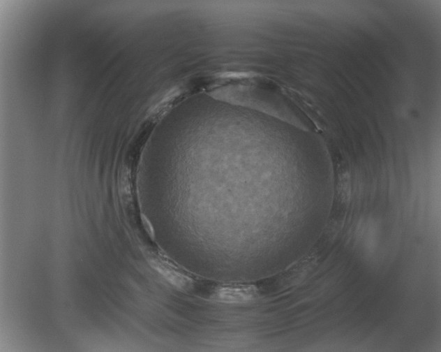 X0000080660571200612221054
