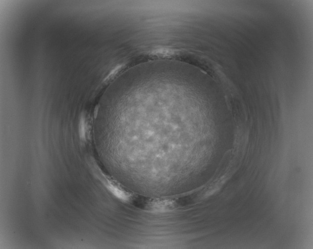 X0000080660576200612221054