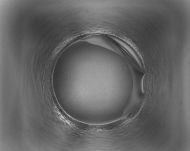 X0000080660577200612221053