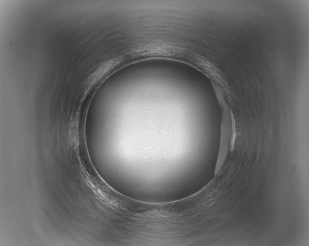X0000080660578200612221053