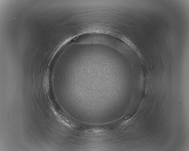 X0000080660580200612221053