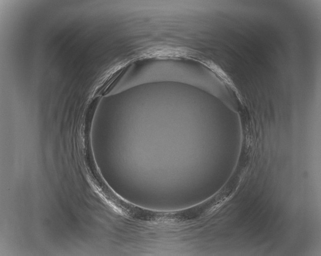 X0000080660581200612221053