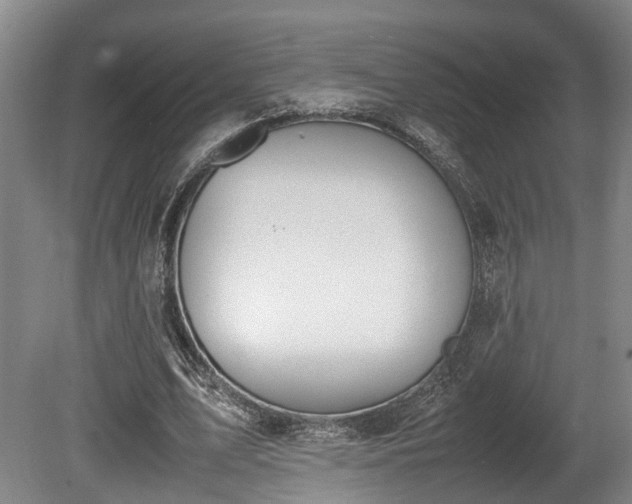 X0000080660583200612221053