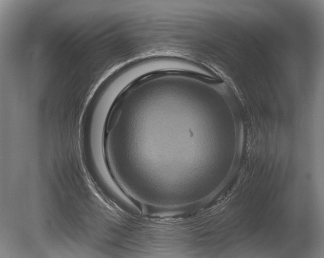X0000080660584200612221053