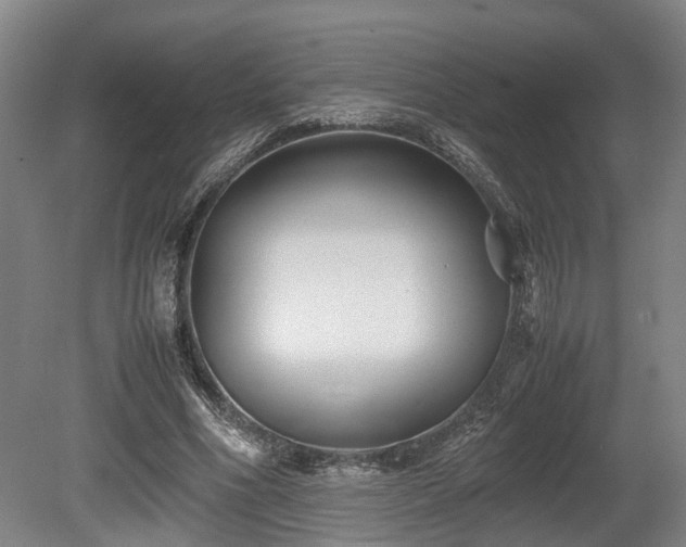 X0000080660586200612221053