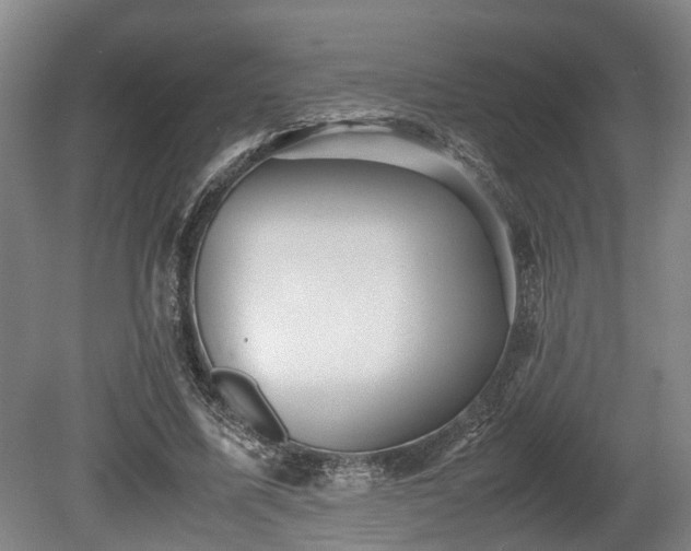 X0000080660587200612221053