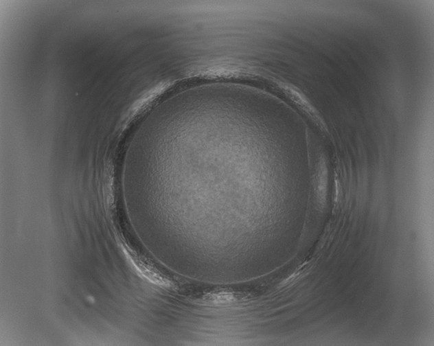 X0000080660588200612221053