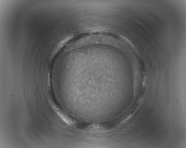 X0000080660589200612221053