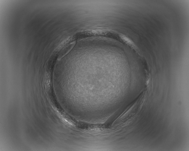 X0000080660593200612221053