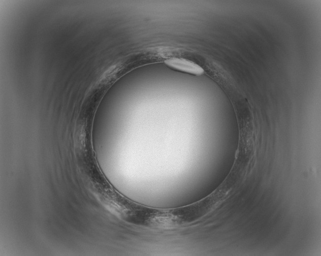 X0000080660595200612221053