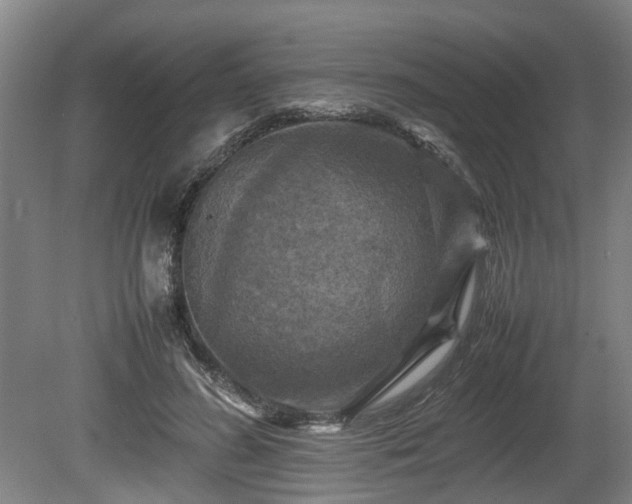 X0000080660596200612221053