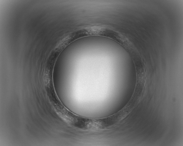 X0000080660599200612221053