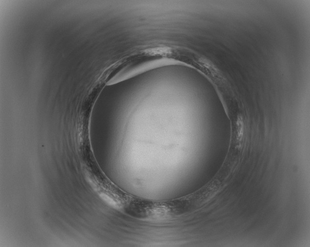 X0000080660600200612221053